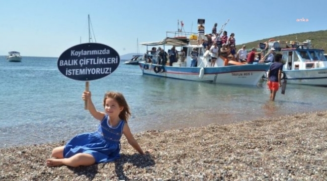 Cennet koya balık çiftliği: Mahkeme 5 kez iptal etti, bakanlık yeniden ÇED onayı verdi