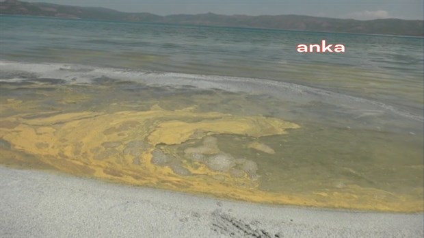 Bakanlıktan 'Salda Gölü' yanıtı: Renk değişikliği polenlerden kaynaklanmaktadır