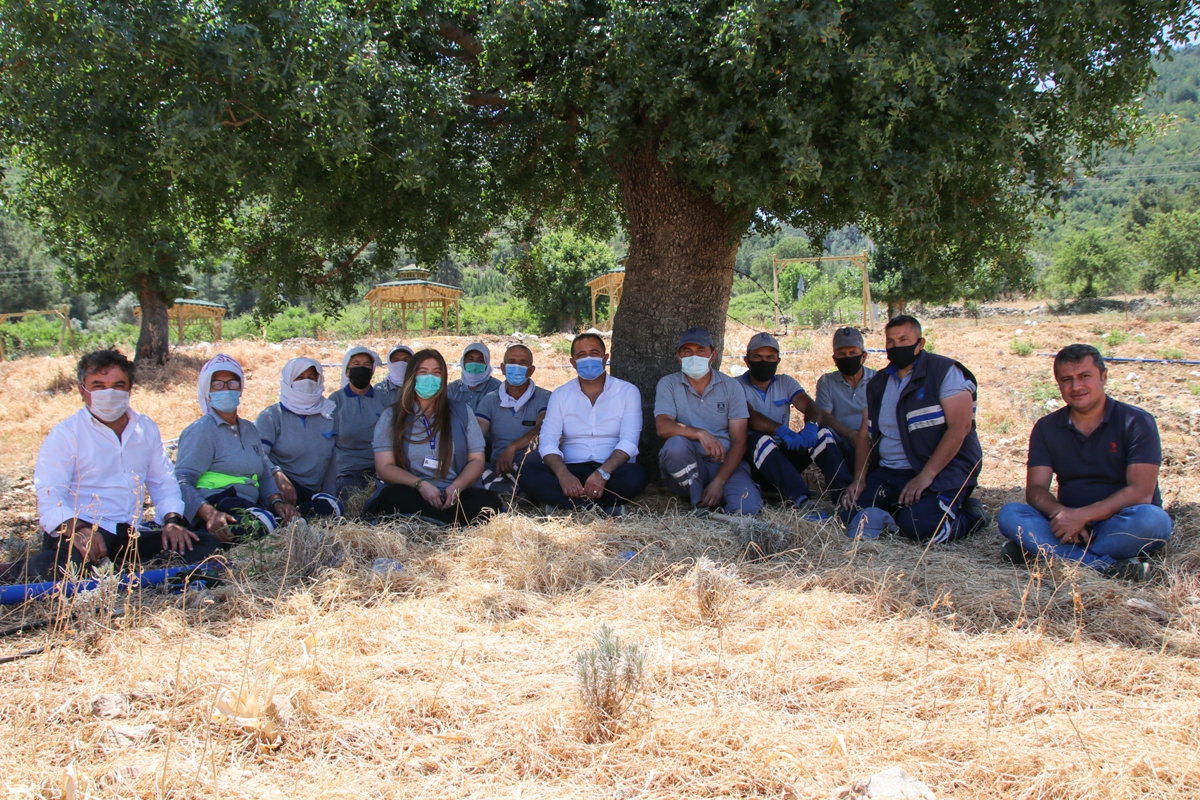 200 dönüm arazi tarıma kazandırıldı: Bodrum Belediyesi'nin tarımsal kalkınma hamlesi adım adım hayata geçiriliyor