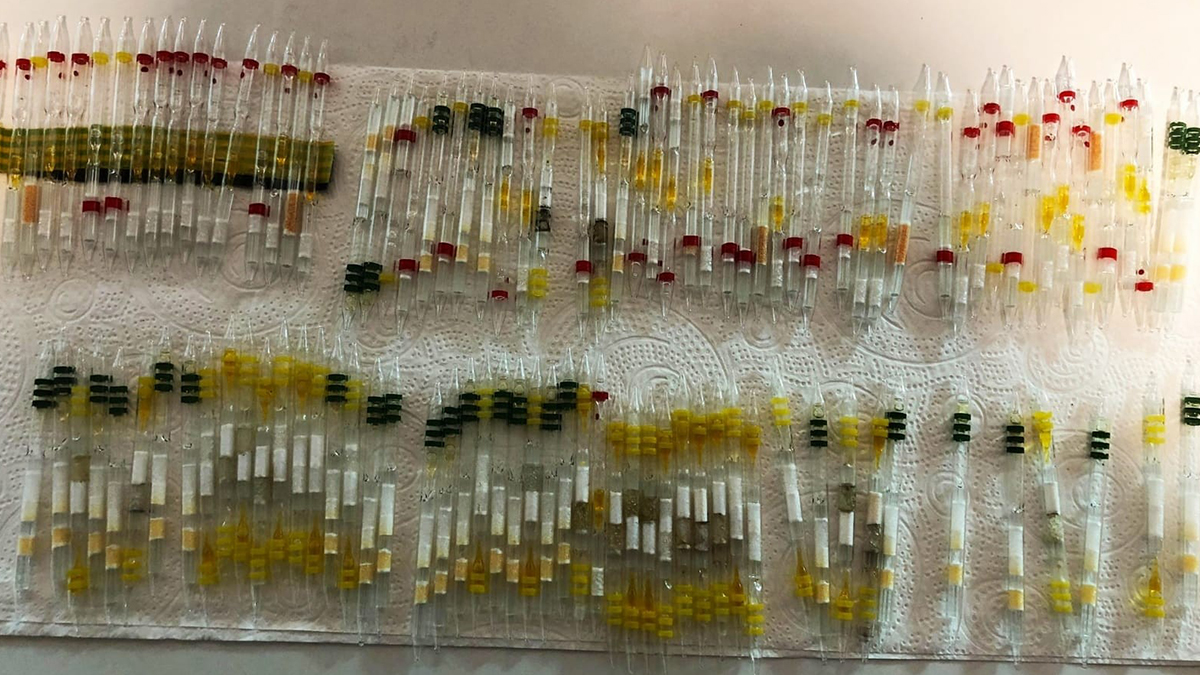 Aramada 120 adet arı ve 110 tüp kobra yılanı zehri ele geçirildi