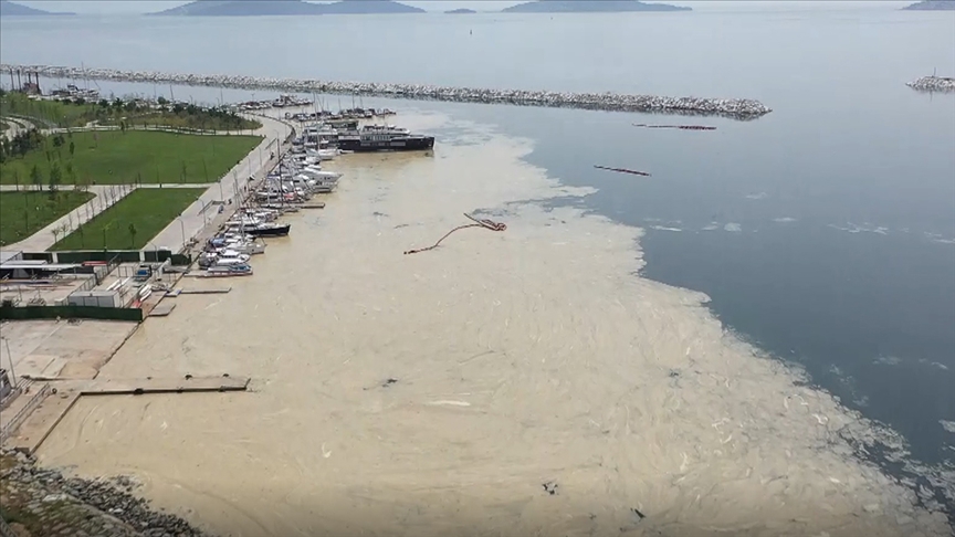 Marmara'yı saran deniz salyası tehlikesi TBMM gündeminde: CHP'nin araştırma önergesi AKP ve MHP oylarıyla reddedildi