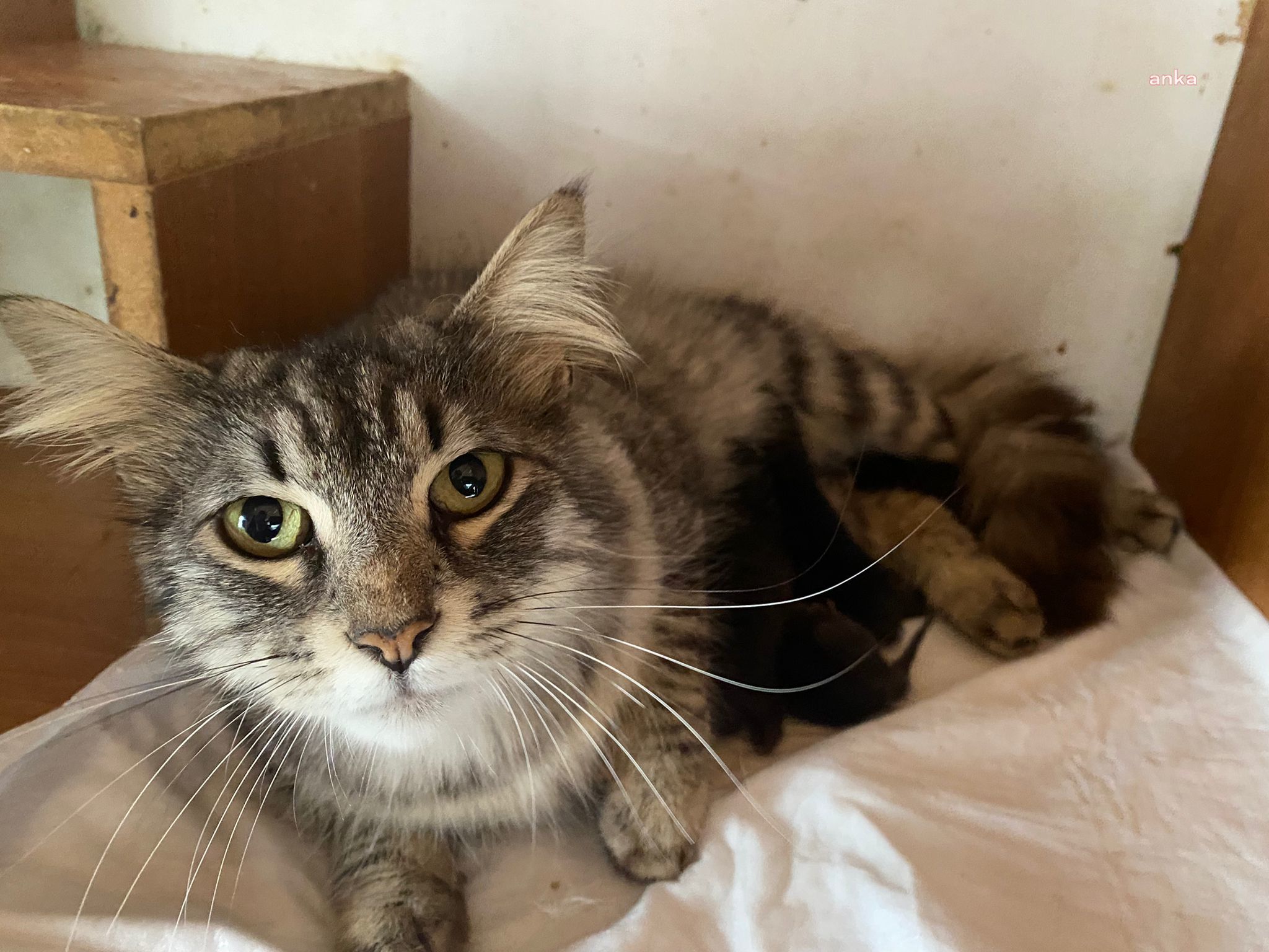 Sekiz saatlik kurtarma operasyonu