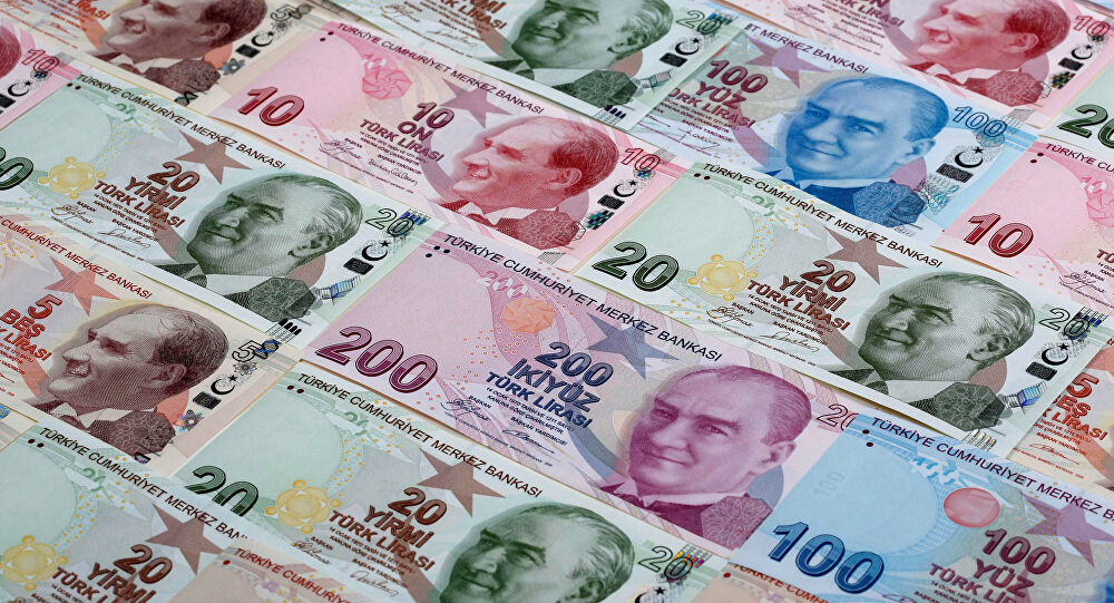 Merkez Bankası'dan vahim grafik: Tüm zamanların en düşük 'Türk Lirası'