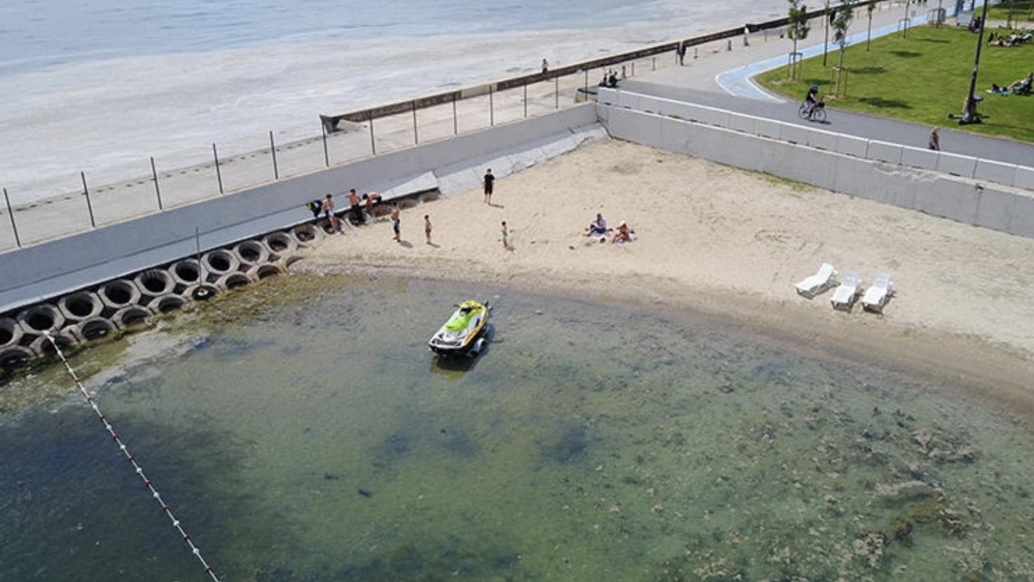 YÖK, akademisyenlerle 'müsilaj' sorununu görüşecek