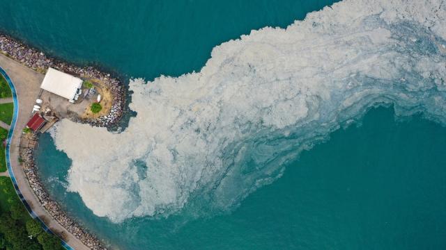 TBMM’de ‘müsilaj’ araştırma komisyonu kurulacak