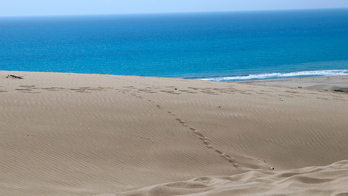 'Patara'dan kum çalındı' iddiasıyla ilgili bakanlıktan açıklama
