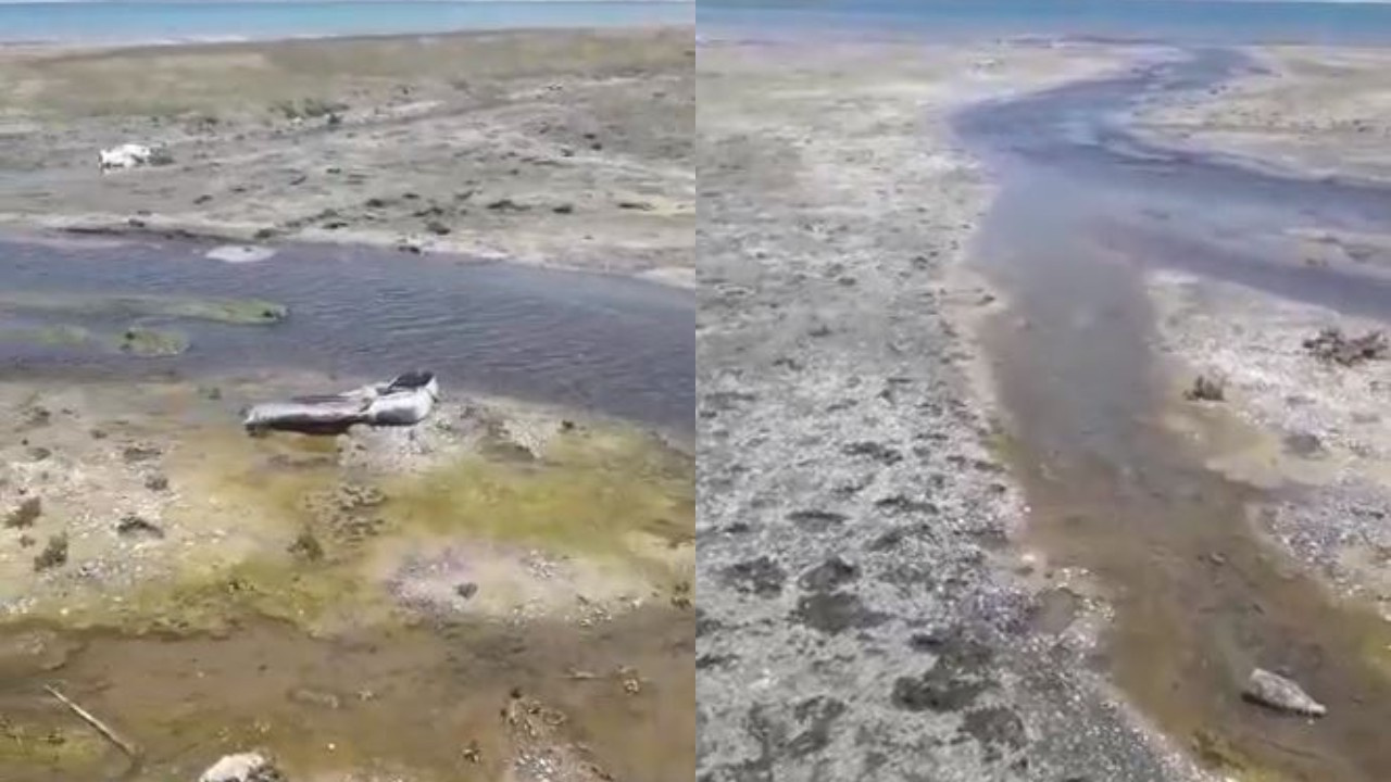 Salda Köyünün kanalizasyon suyu göle akıyor