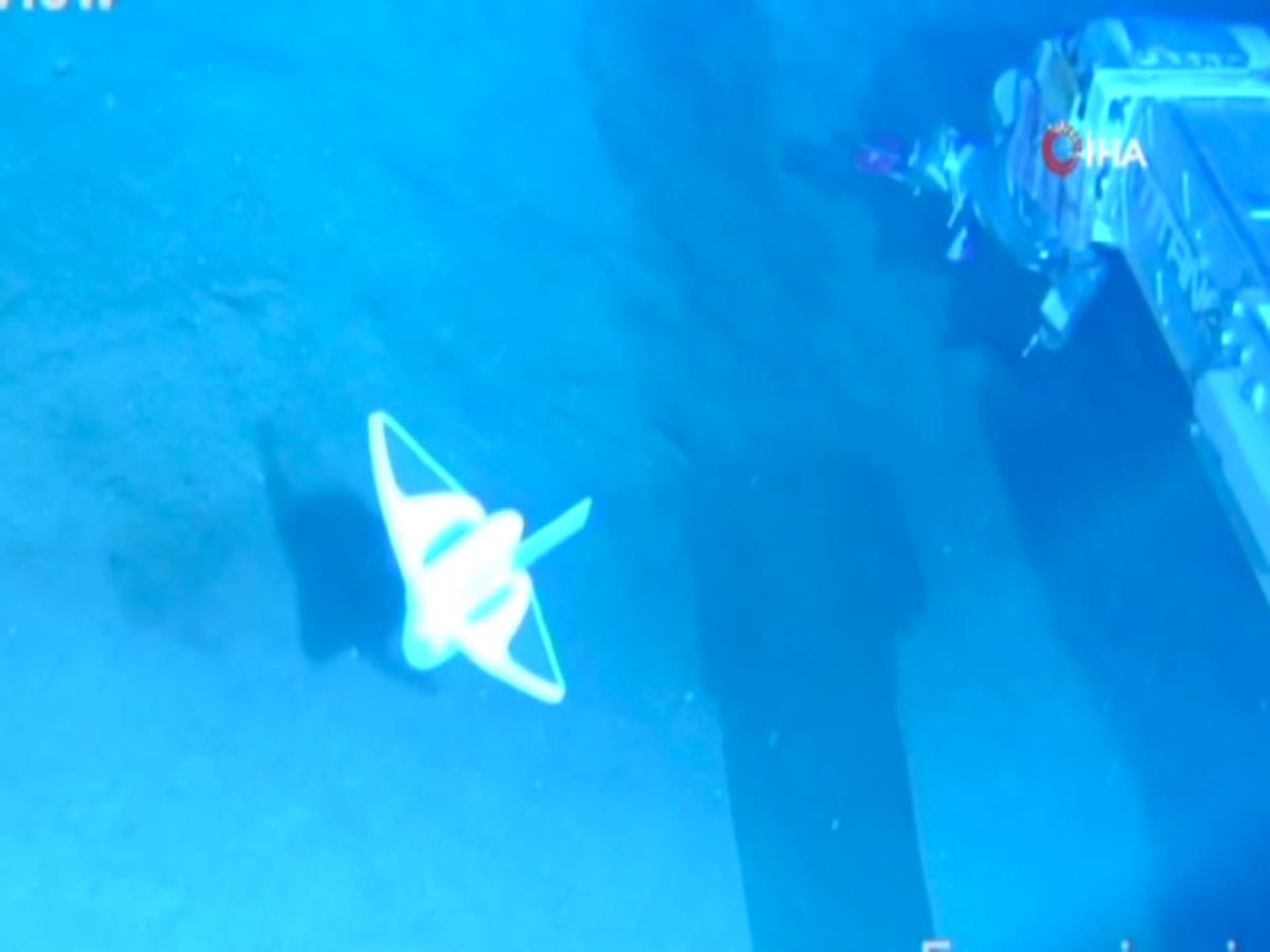 Derin denizleri gözlemleyebilmek için yumuşak robot balık geliştirildi