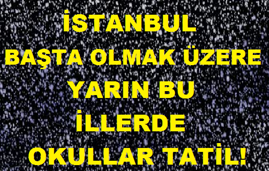 Yarın hangi illerde okullar tatil ?