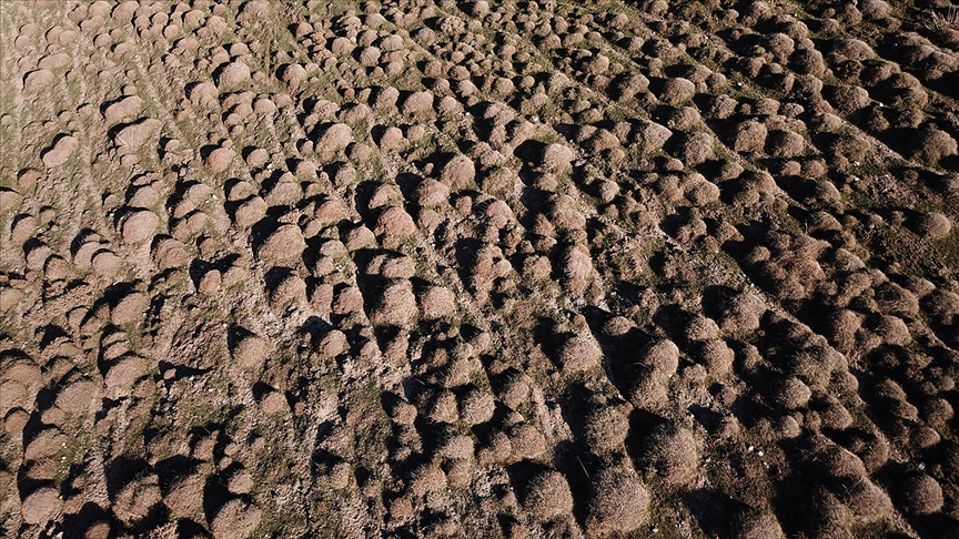 'Her yıl 24 milyar ton toprak kaybediliyor'