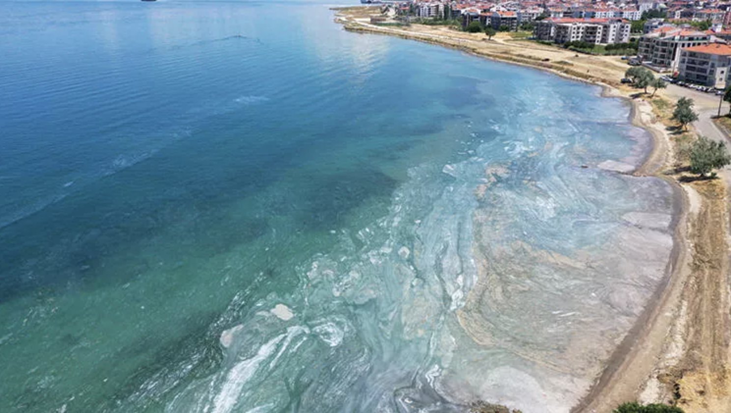 ODTÜ'den müsilaj analizi: 30 metrede yığıldı, yumurta kokusuna rastlamadık