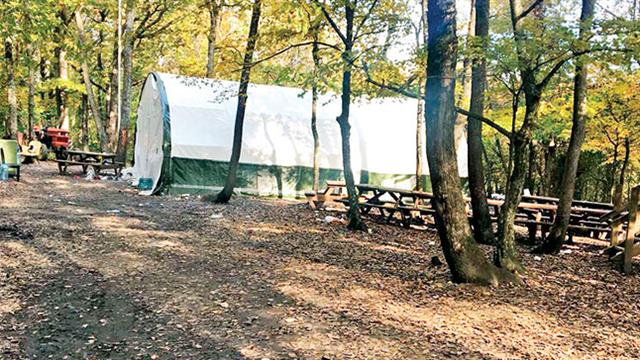 Belgrad Ormanı'ndaki çadırdan çıkanlar şok etti