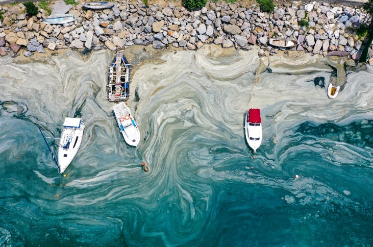 Hidrobiyolog Levent Artüz: Marmara Denizi'ne oksijen verilmesinin faydası olmayacak, Karadeniz'i de kaybedebiliriz!