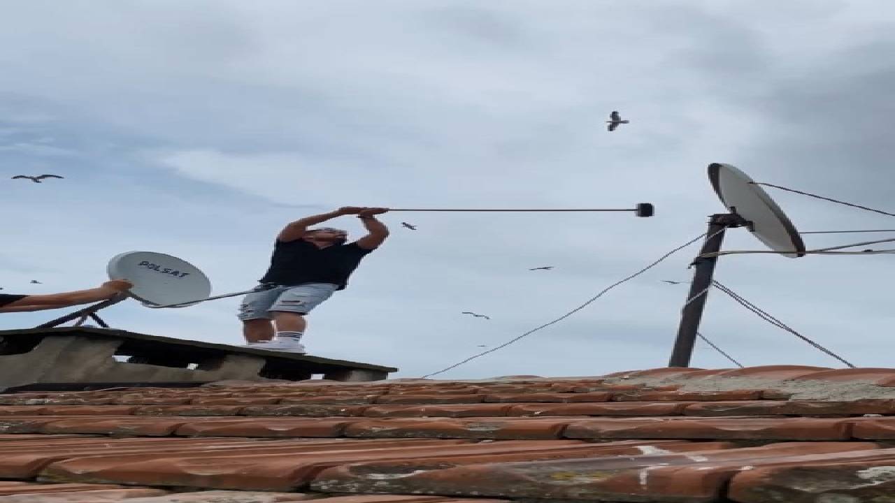 Martılar anten tamircisini çatıda rahat bırakmadı