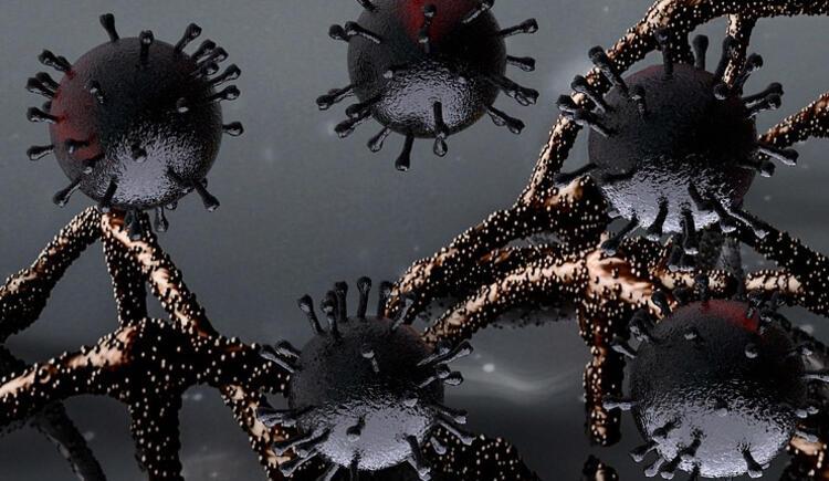 Delta mutasyonu nedeniyle 117 can kaybı