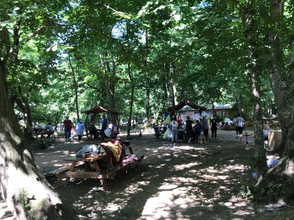 İstanbul, Bursa ve Çanakkale'de ormana giriş yasaklandı