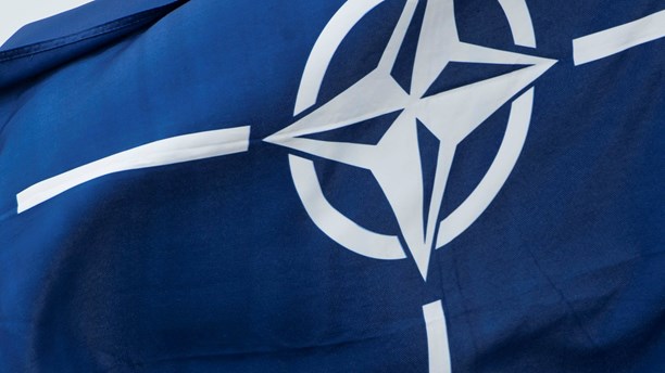 NATO skandalı Estonya'da da yaşanabilirmiş!