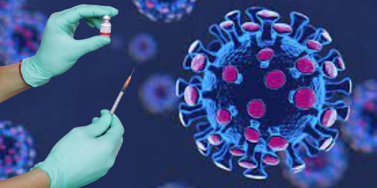 ABD'de aşı araştırması: Yaklaşık 280 bin olası ölümü engelledi