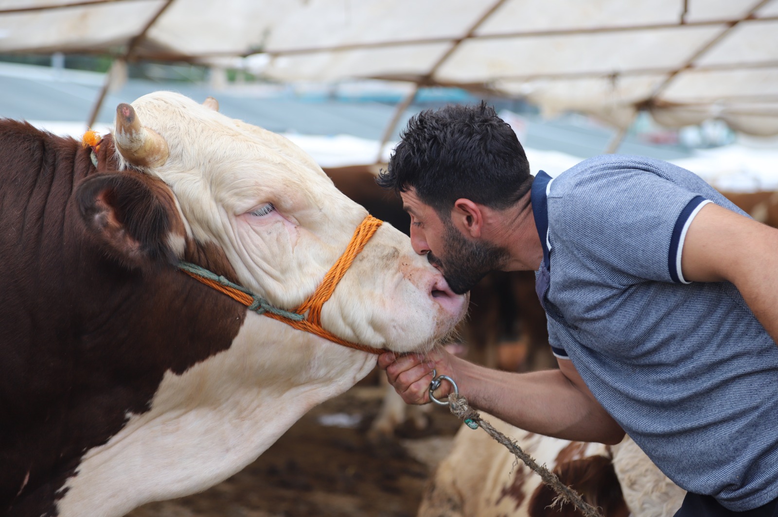 Kartal Belediyesi Kurban Bayramı hazırlıklarını tamamladı