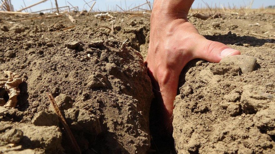 Pakdemirli'nin açıkladığı kuraklık ödemesine çiftçiden tepki: Sadece 5 köyün hasadını karşılar