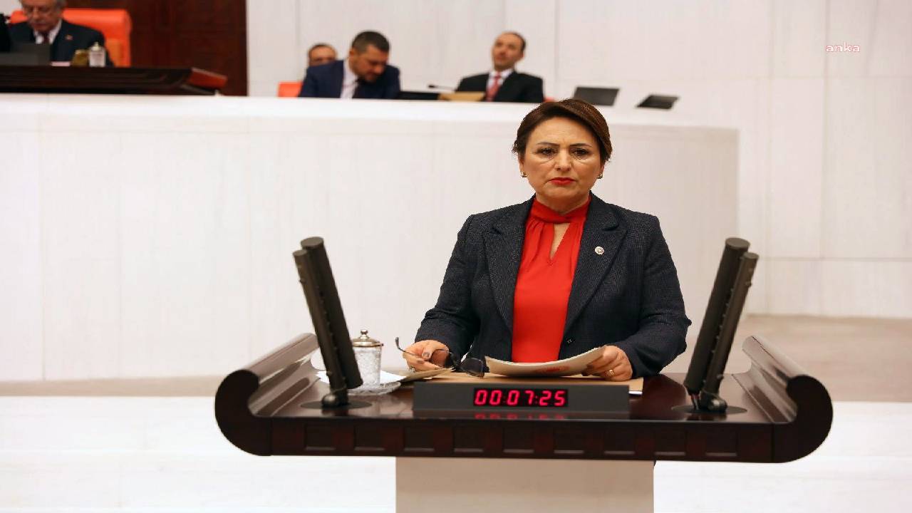 CHP'li Şevkin: Türkiye yabancı öğrenci cenneti