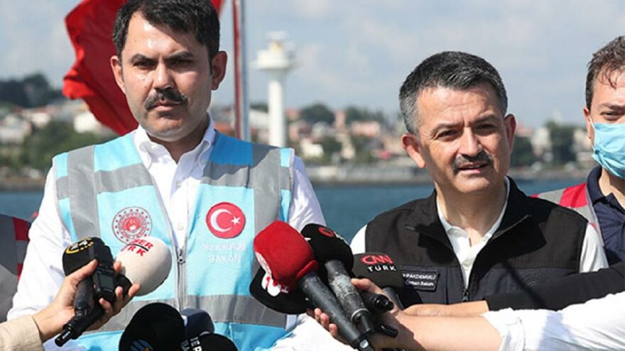 Bakanlardan flamingo ölümlerine ilişkin açıklama