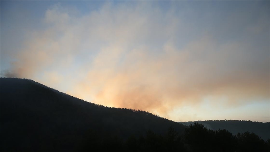 Hatay'da orman yangını: Havadan ve karadan müdahale ediliyor