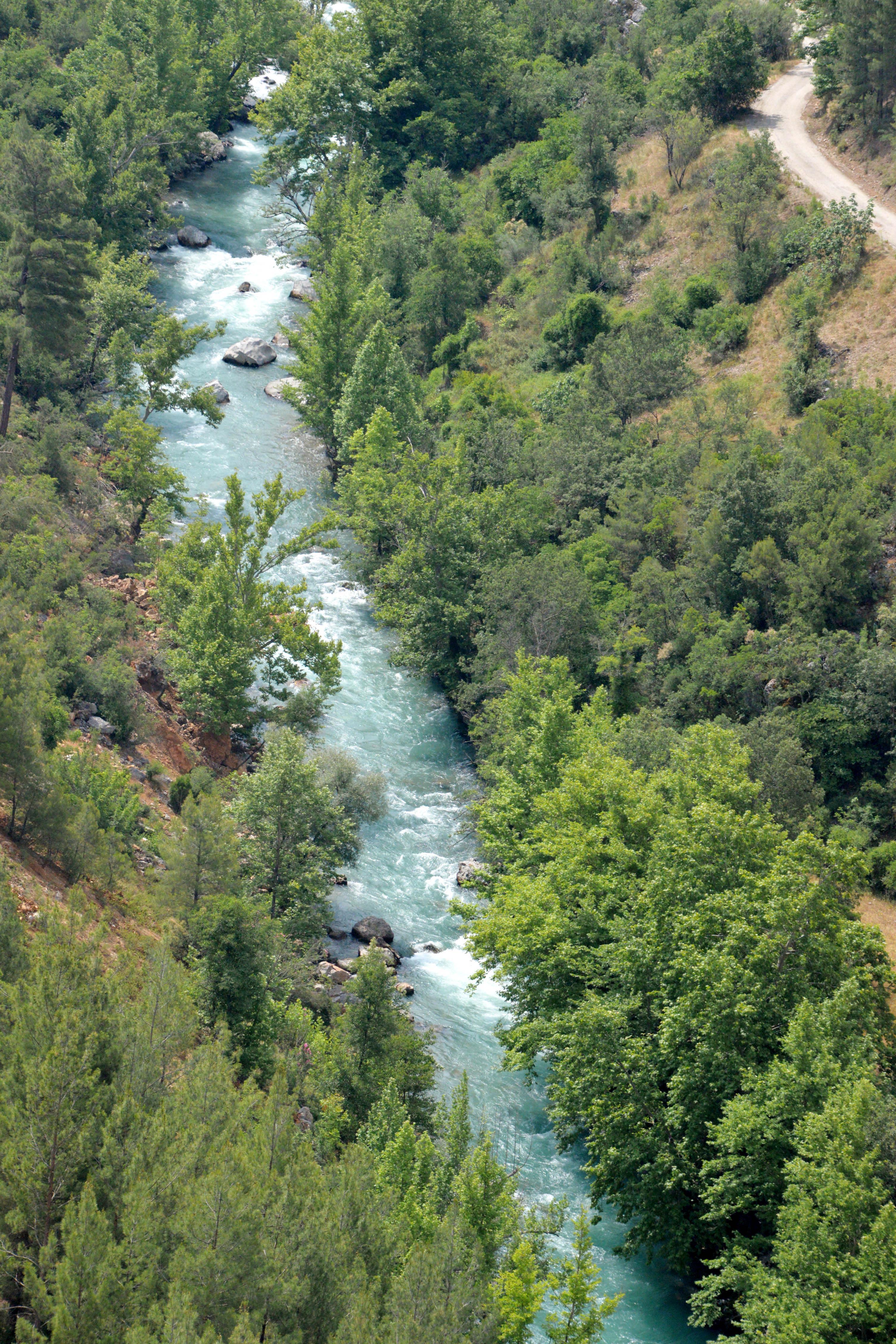 Uçansu'daki HES'lerin ÇED süreci durduruldu