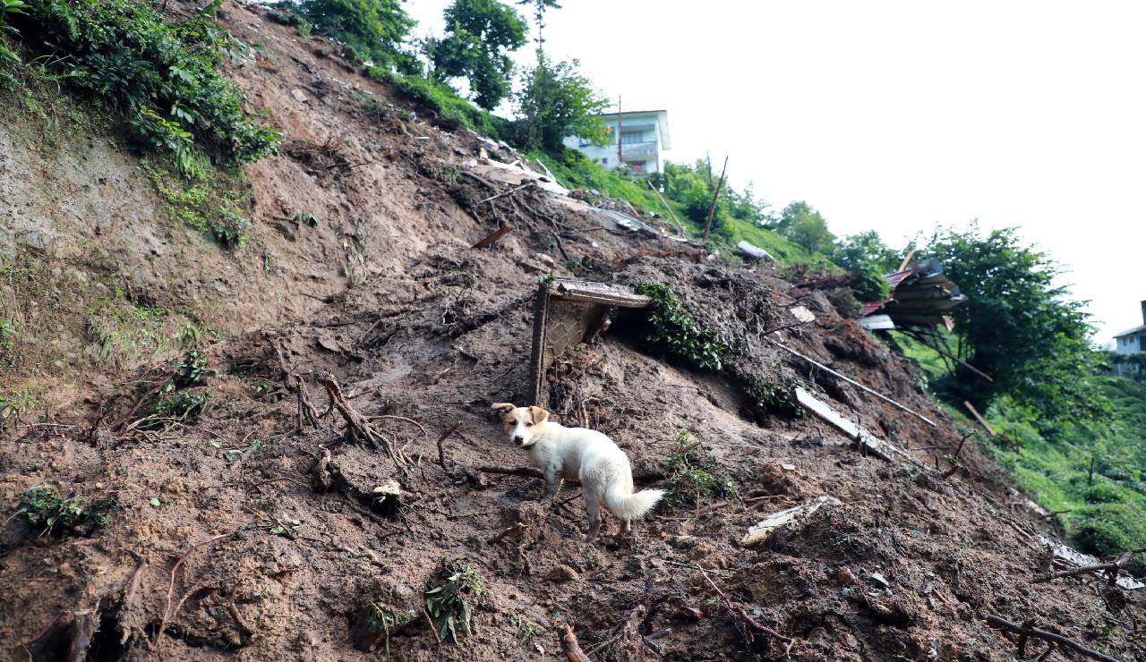 Rize'de selde bulunamayan Batuhan Delihasan'ın yeğeni isyan etti