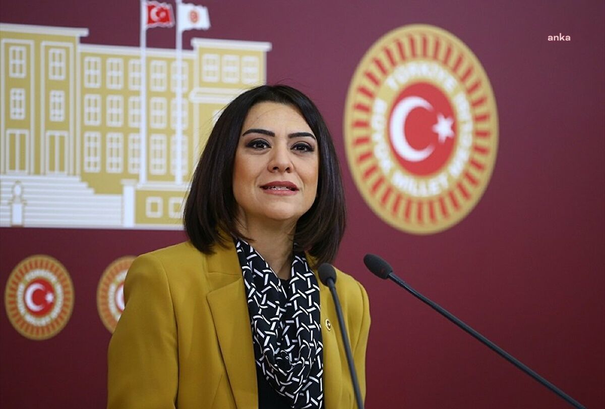 CHP’li Taşcıer, 'göçmen sorunu'nun araştırılmasını istedi