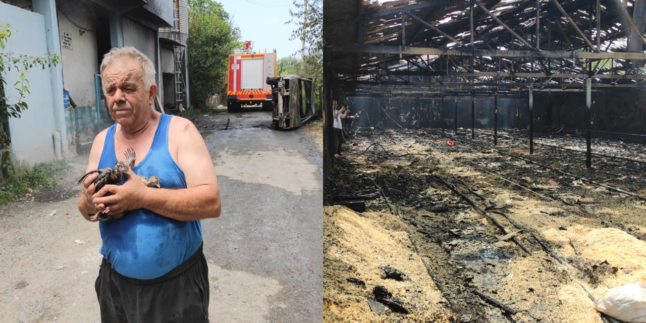 Yangında 12 bin yavru hindi yandı: Çiftlik sahibi gözyaşlarına boğuldu