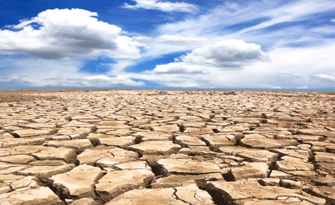 Kuraklık uyarısı: Türkiye'de olağanüstü hal ilan edilmeli