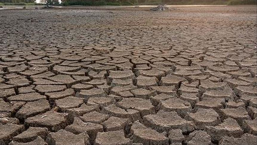 Kanada'da son 20 yılın en kurak dönemi