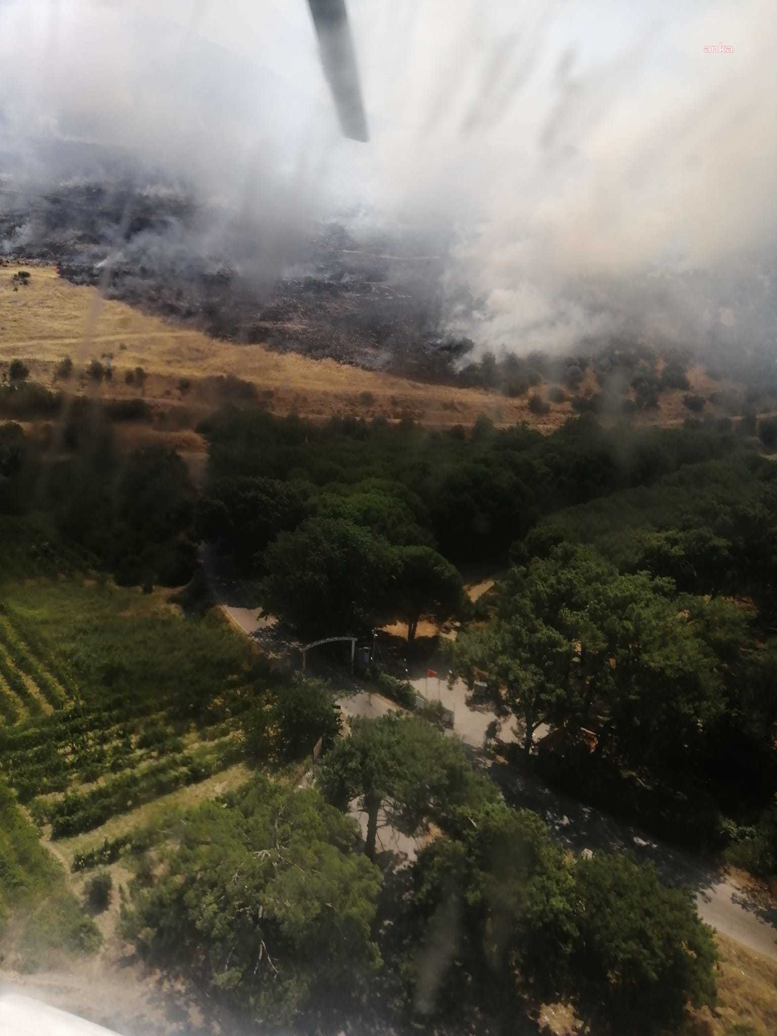 İzmir'de zeytinlik alanda yangın