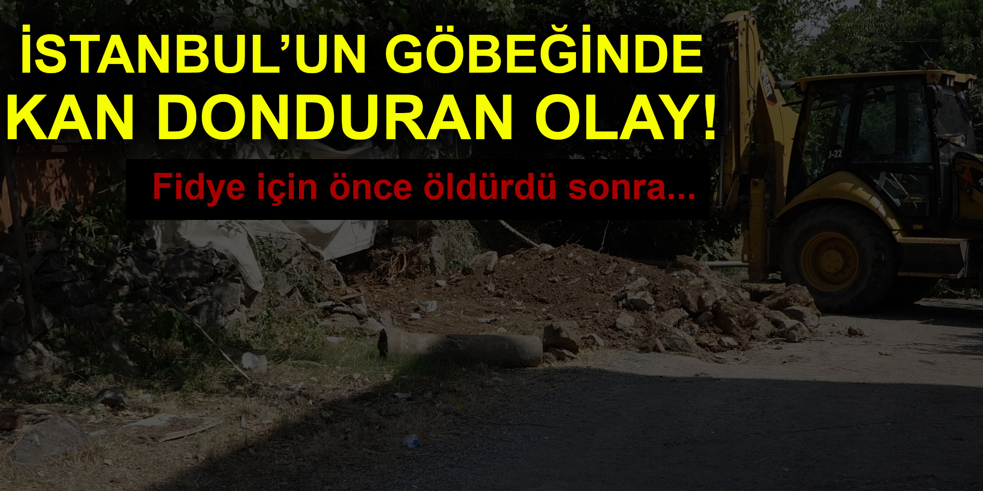 İstanbul'da korkunç olay: Fidye işkence cinayet!