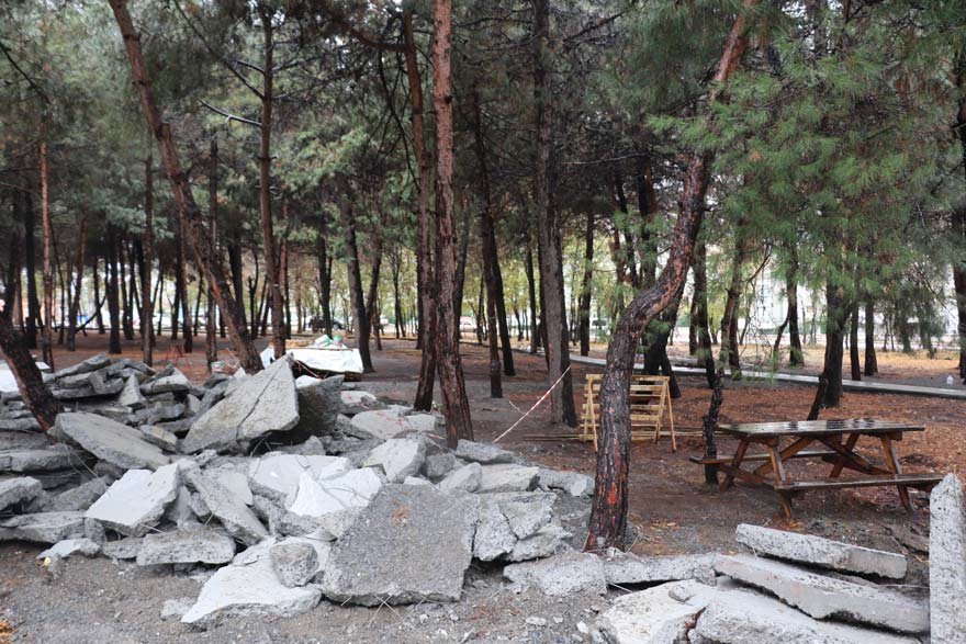 AKP'li belediye ormanı betonla kapladı tepki gelince vazgeçti