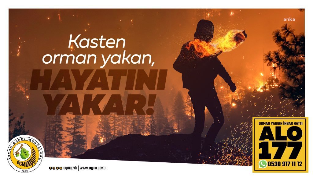 Orman Genel Müdürlüğü'nden Antalya'daki yangınla ilgili soruşturma