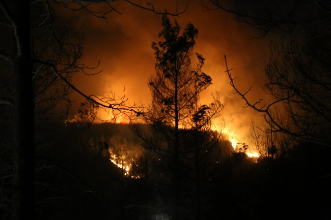 Adana, Antalya ve Mersin'de yangınlar devam ediyor: Müdahale sürüyor