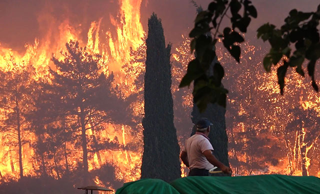 Orman yangınlarıyla ilgili uzmanlardan önemli uyarı: Hızlı ağaçlandırma yerine planlı düşünmek gerek
