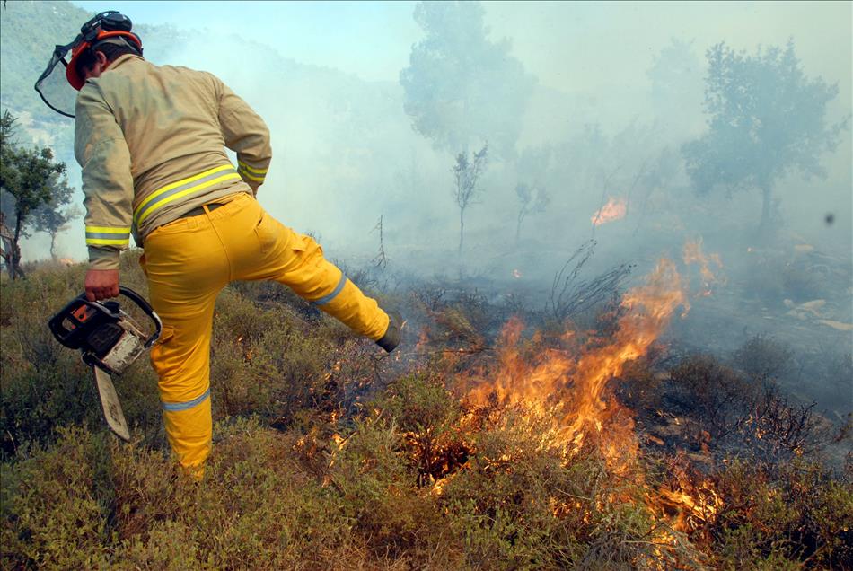 Pakdemirli: 112 orman yangınının 107'sini kontrol altına aldık
