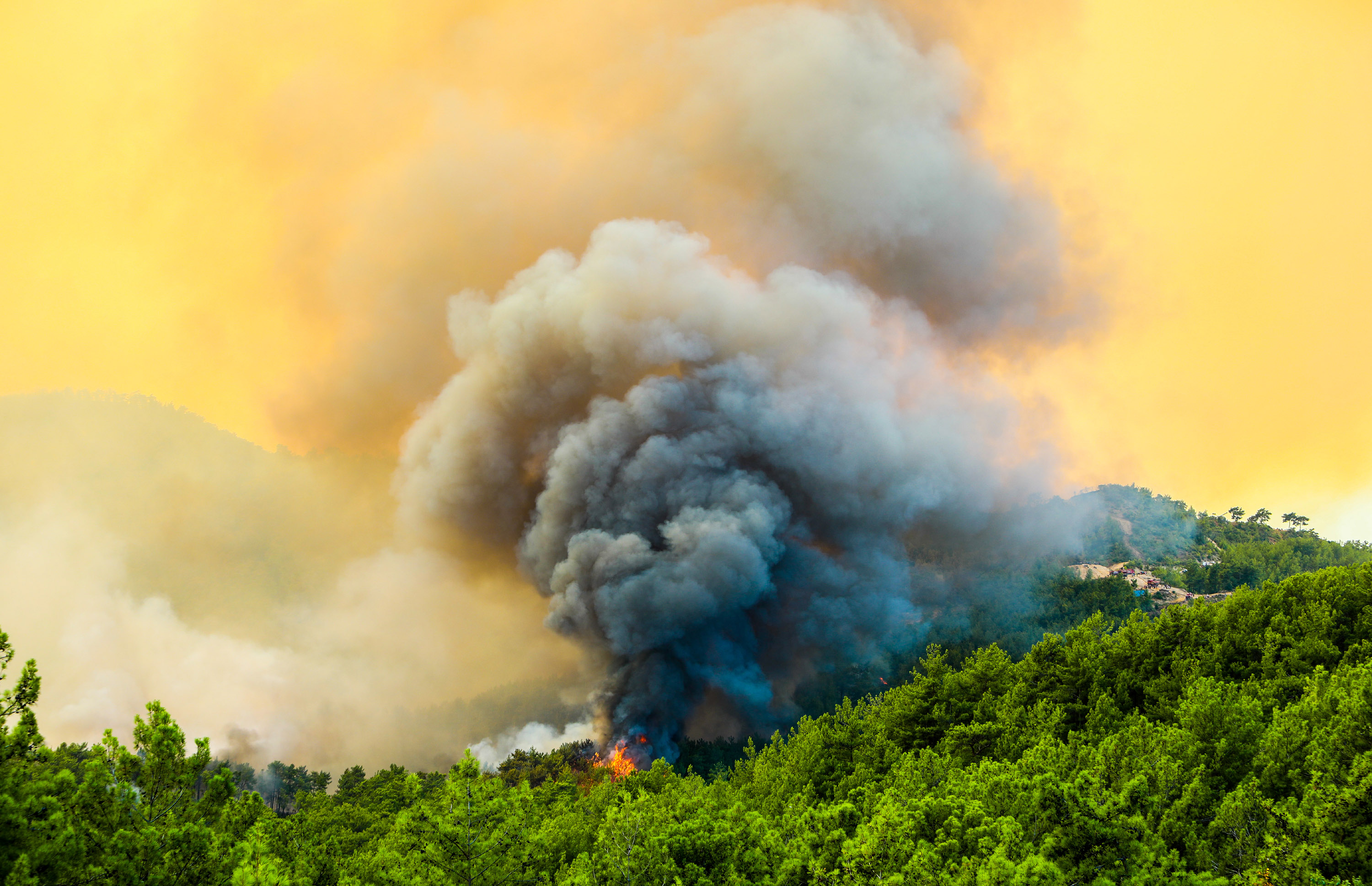 RTÜK yangın haberinin nasıl yapılacağını söyledi