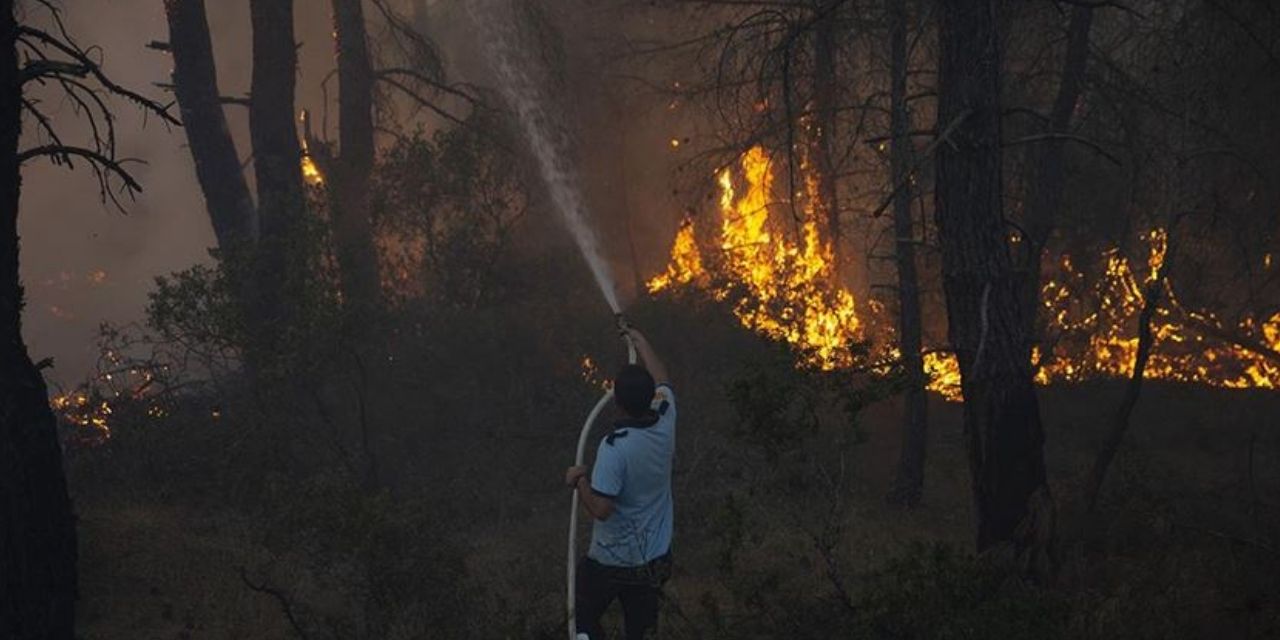 AFAD: Orman yangını çıkan illere 62,5 milyon TL yardım gönderildi