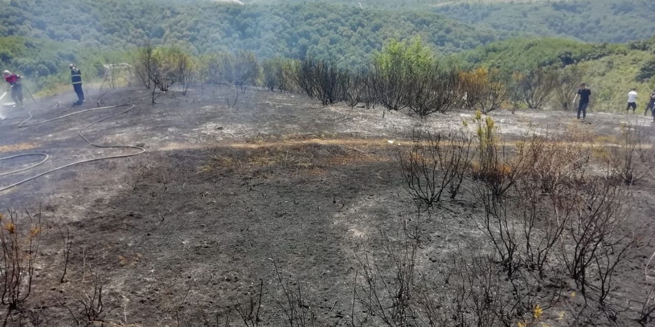 Zonguldak Ereğli'de 1 dönümlük ormanlık alan yandı