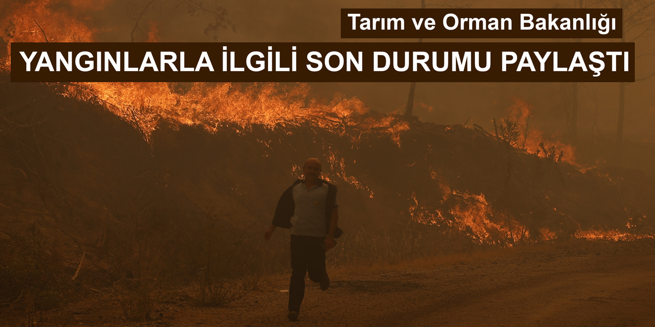 Tarım ve Orman Bakanlığı: 6 ilde 11 yangın devam ediyor