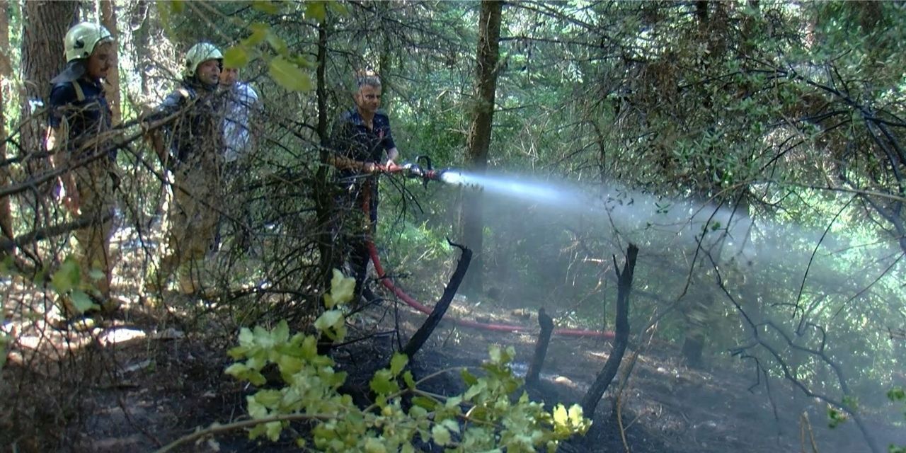 Aydos Ormanı'nda çıkan yangın söndürüldü: İki kişi kaçarken görüldü