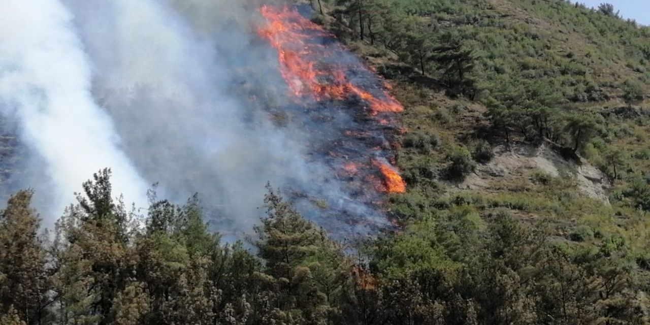 Karabük’te aynı köyde 2 gün sonra tekrar yangın çıktı