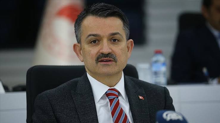 Pakdemirli: Manavgat ve Gündoğmuş yangınları kontrol altında