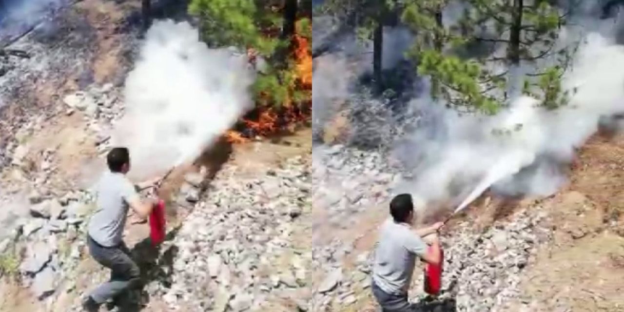 Makinistler treni durdurup ormanlık alandaki yangını söndürdü