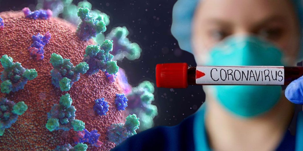 Koronavirüs salgını nihayet bitiyor mu?