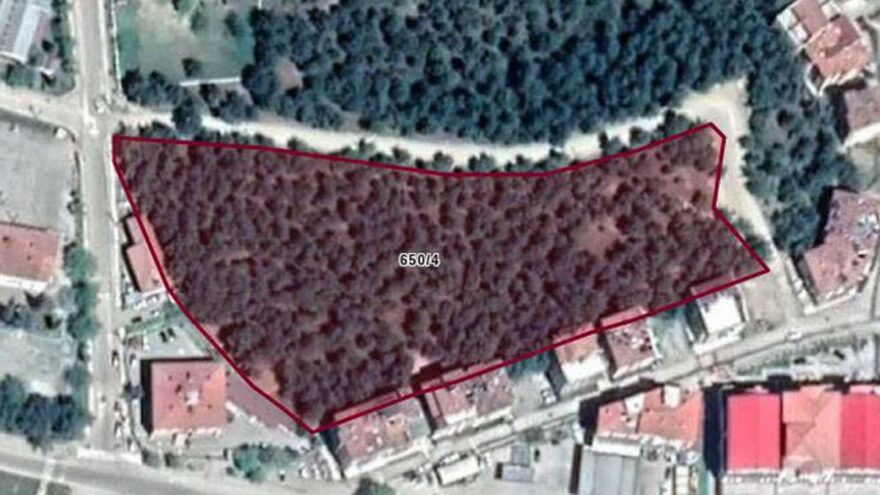 AKP’li belediye, 13 dönümlük ormanı imara açtı